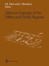 Siliceous Deposits of the Tethys and Pacific Regions