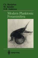 Modern Planktonic Foraminifera