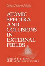 Atomic Spectra and Collisions in External Fields