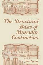 The Structural Basis of Muscular Contraction