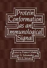 Protein Conformation as an Immunological Signal