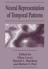 Neural Representation of Temporal Patterns