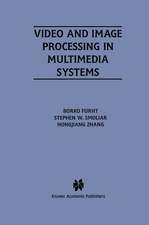 Video and Image Processing in Multimedia Systems