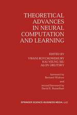 Theoretical Advances in Neural Computation and Learning