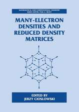 Many-Electron Densities and Reduced Density Matrices