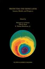 Protecting the Ozone Layer: Lessons, Models, and Prospects