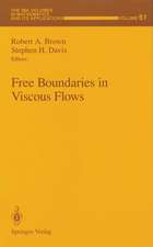 Free Boundaries in Viscous Flows