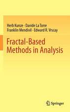 Fractal-Based Methods in Analysis