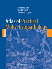 Atlas of Practical Mohs Histopathology