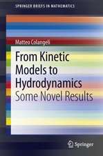 From Kinetic Models to Hydrodynamics: Some Novel Results