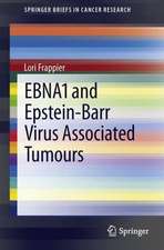 EBNA1 and Epstein-Barr Virus Associated Tumours