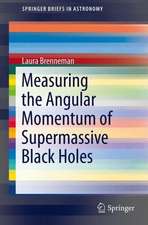 Measuring the Angular Momentum of Supermassive Black Holes