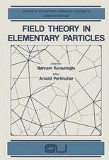 Field Theory in Elementary Particles