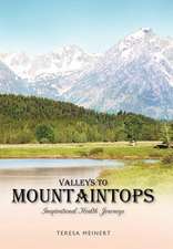 Valleys to Mountaintops