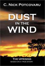 Dust in the Wind