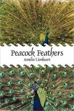 Peacock Feathers