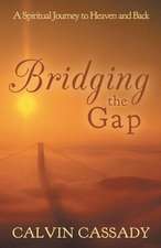 Bridging the Gap