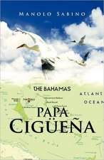 Papa Ciguena