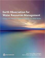 Earth Observation for Water Resources Management: Current Use and Future Opportunities for the Water Sector