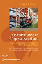 L'Industrialisation En Afrique Subsaharienne