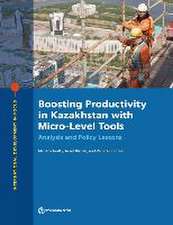 Boosting Productivity in Kazakhstan with Micro-Level Tools