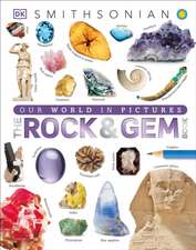 Dk: Rock and Gem Book