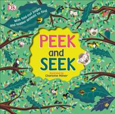 Peek and Seek