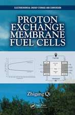 Proton Exchange Membrane Fuel Cells