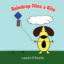 Raindrop Flies a Kite