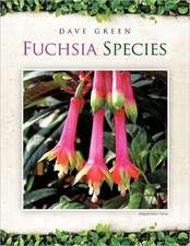 Fuchsia Species