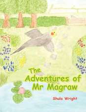 The Adventures of MR Magraw