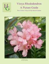 Vireya Rhododendron a Picture Guide