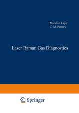 Laser Raman Gas Diagnostics