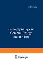 Pathophysiology of Cerebral Energy Metabolism