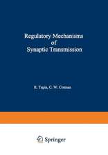 Regulatory Mechanisms of Synaptic Transmission