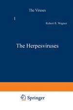 The Herpesviruses