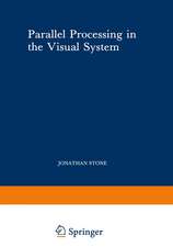 Parallel Processing in the Visual System