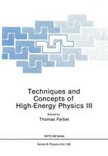 Techniques and Concepts of High-Energy Physics III