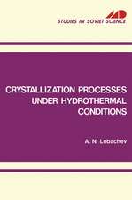 Crystallization Processes under Hydrothermal Conditions