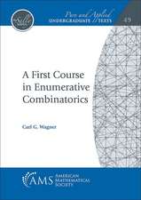 A First Course in Enumerative Combinatorics