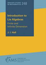 Introduction to Lie Algebras