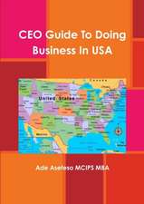 CEO Guide To Doing Business In USA