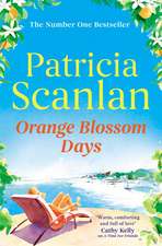 Orange Blossom Days: Warmth, wisdom and love on every page - if you treasured Maeve Binchy, read Patricia Scanlan