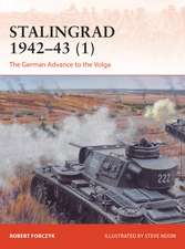 Stalingrad 1942–43 (1): The German Advance to the Volga