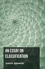 An Essay on Classification