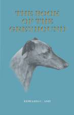 The Book of the Greyhound