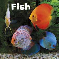 Amstutz, L: Fish
