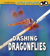 Dashing Dragonflies