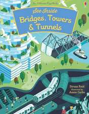 Reid, S: See Inside Bridges, Towers and Tunnels