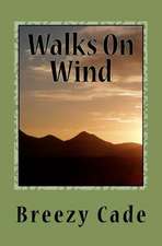 Walks on Wind